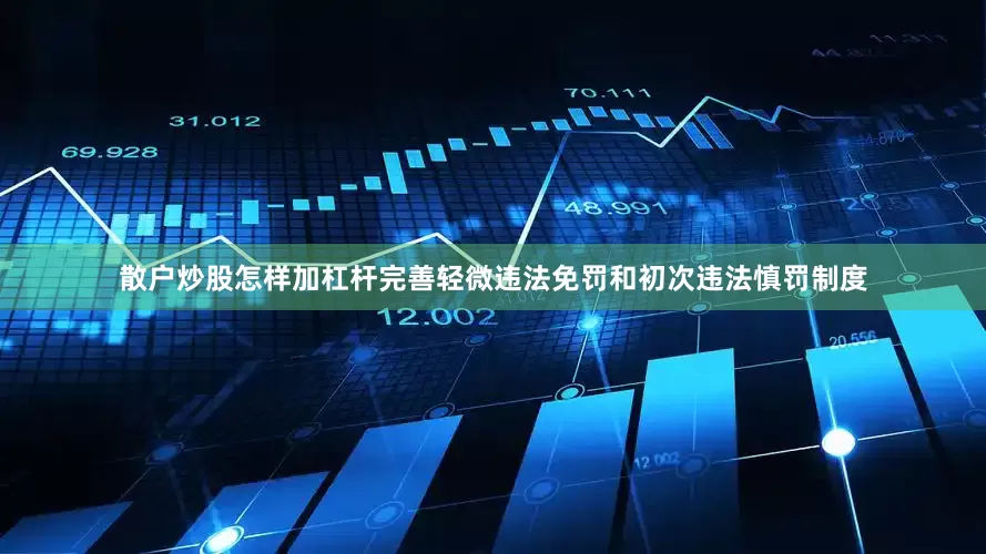 散户炒股怎样加杠杆完善轻微违法免罚和初次违法慎罚制度