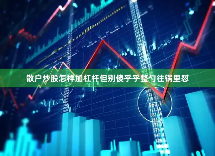 散户炒股怎样加杠杆但别傻乎乎整勺往锅里怼