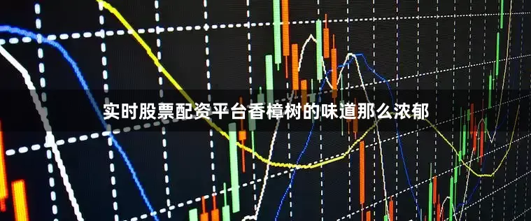 实时股票配资平台香樟树的味道那么浓郁