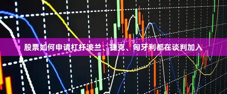 股票如何申请杠杆波兰、捷克、匈牙利都在谈判加入